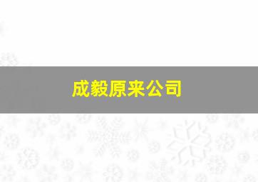 成毅原来公司