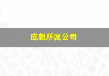 成毅所属公司