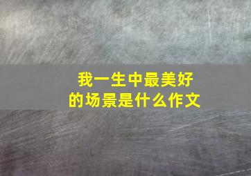 我一生中最美好的场景是什么作文