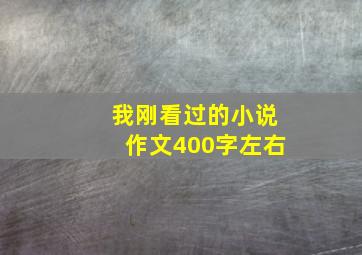 我刚看过的小说作文400字左右