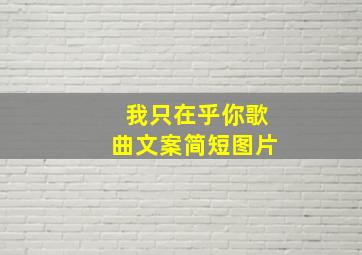 我只在乎你歌曲文案简短图片