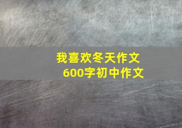 我喜欢冬天作文600字初中作文