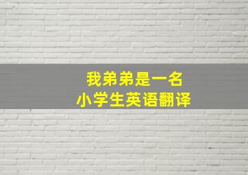 我弟弟是一名小学生英语翻译