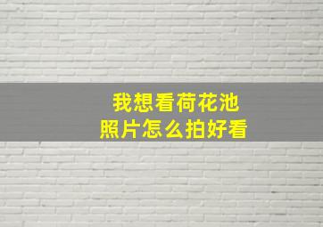 我想看荷花池照片怎么拍好看