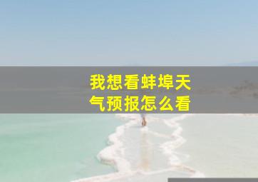 我想看蚌埠天气预报怎么看