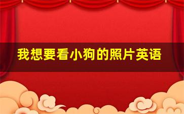 我想要看小狗的照片英语