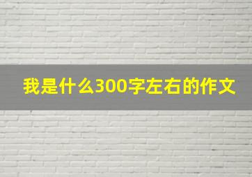 我是什么300字左右的作文