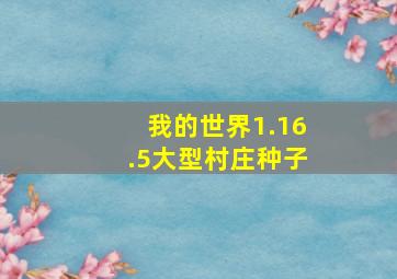 我的世界1.16.5大型村庄种子