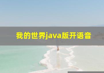 我的世界java版开语音