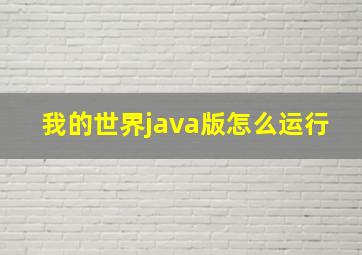 我的世界java版怎么运行