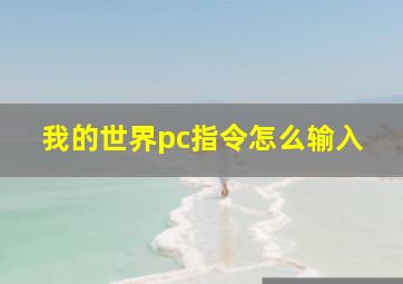 我的世界pc指令怎么输入