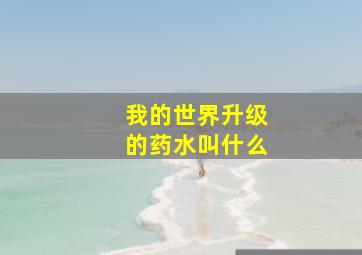 我的世界升级的药水叫什么