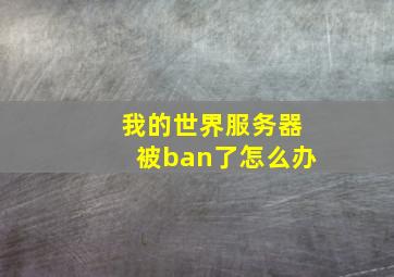 我的世界服务器被ban了怎么办