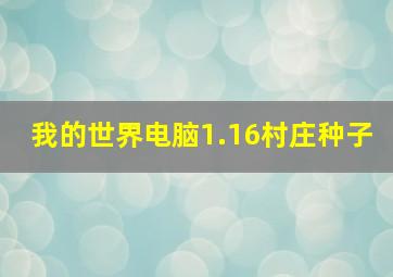 我的世界电脑1.16村庄种子