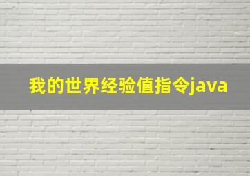 我的世界经验值指令java