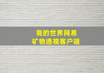 我的世界网易矿物透视客户端