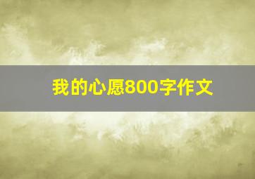 我的心愿800字作文