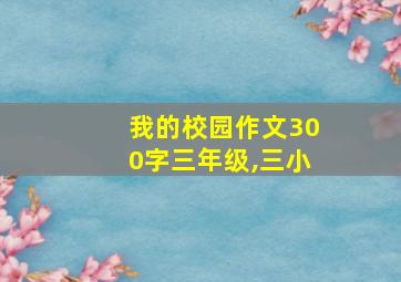 我的校园作文300字三年级,三小