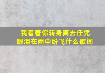 我看着你转身离去任凭眼泪在雨中纷飞什么歌词