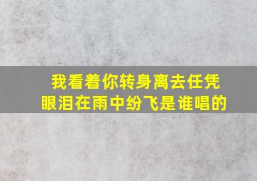 我看着你转身离去任凭眼泪在雨中纷飞是谁唱的