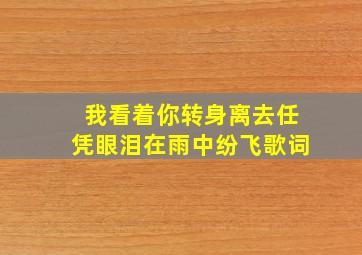 我看着你转身离去任凭眼泪在雨中纷飞歌词