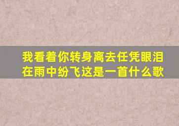 我看着你转身离去任凭眼泪在雨中纷飞这是一首什么歌