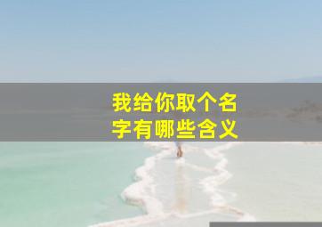 我给你取个名字有哪些含义