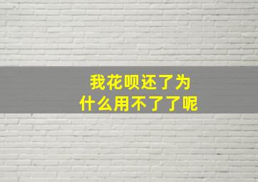 我花呗还了为什么用不了了呢