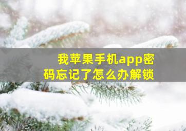 我苹果手机app密码忘记了怎么办解锁