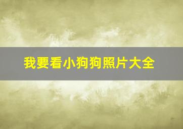 我要看小狗狗照片大全