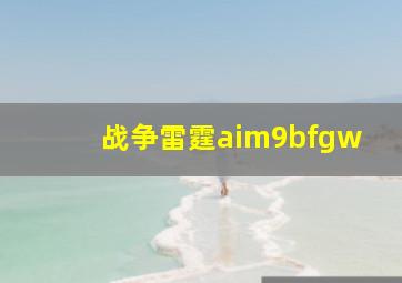 战争雷霆aim9bfgw