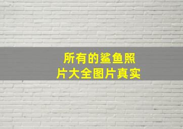 所有的鲨鱼照片大全图片真实