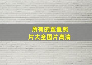 所有的鲨鱼照片大全图片高清