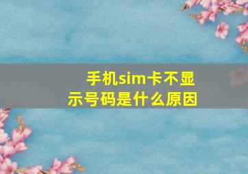 手机sim卡不显示号码是什么原因