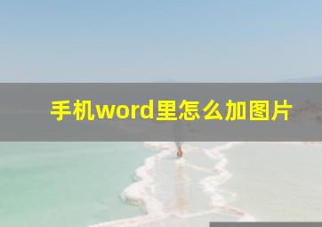 手机word里怎么加图片