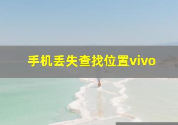 手机丢失查找位置vivo