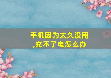 手机因为太久没用,充不了电怎么办