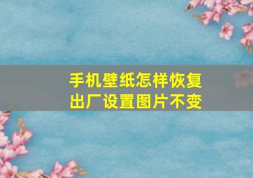 手机壁纸怎样恢复出厂设置图片不变