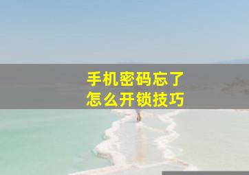 手机密码忘了怎么开锁技巧