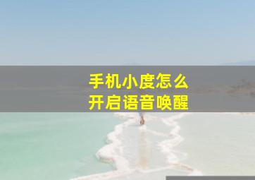 手机小度怎么开启语音唤醒