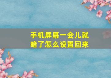 手机屏幕一会儿就暗了怎么设置回来