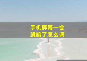 手机屏幕一会就暗了怎么调