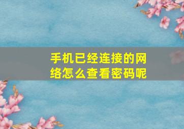 手机已经连接的网络怎么查看密码呢