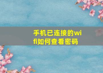 手机已连接的wifi如何查看密码