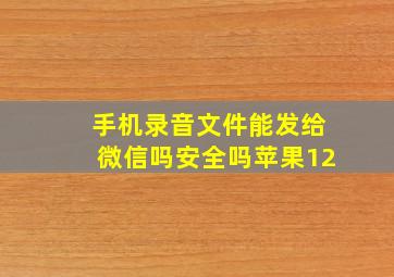 手机录音文件能发给微信吗安全吗苹果12