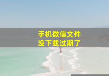 手机微信文件没下载过期了