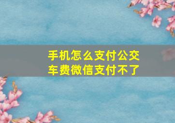 手机怎么支付公交车费微信支付不了