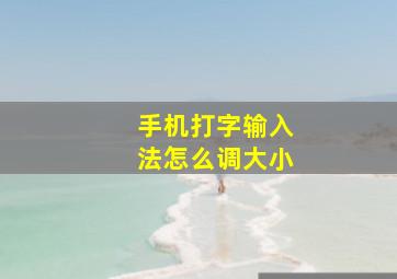 手机打字输入法怎么调大小