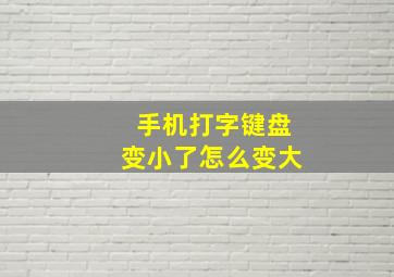 手机打字键盘变小了怎么变大