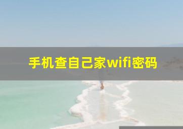 手机查自己家wifi密码